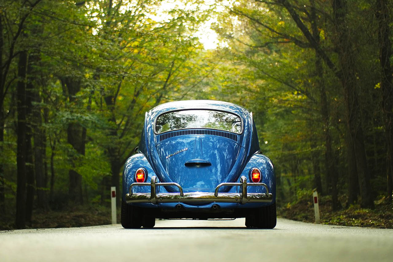 Personalized Review: Pinnacle Auto Appraisers
